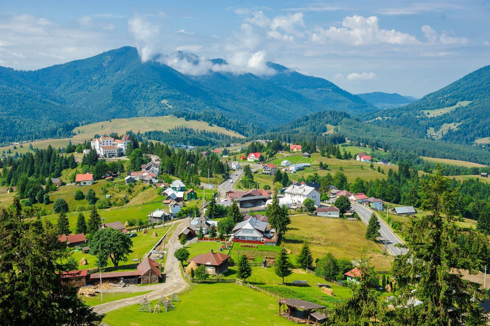 Colibița